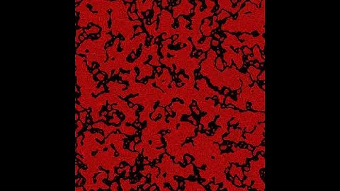 Cellular Automaton 03