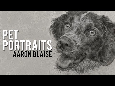 Video: Pet Portraits Kanada