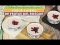 YOGUR CASERO DE FRUTAS DEL BOSQUE | Cómo preparar yogur de frutos rojos en casa | Yogurtera Luvele