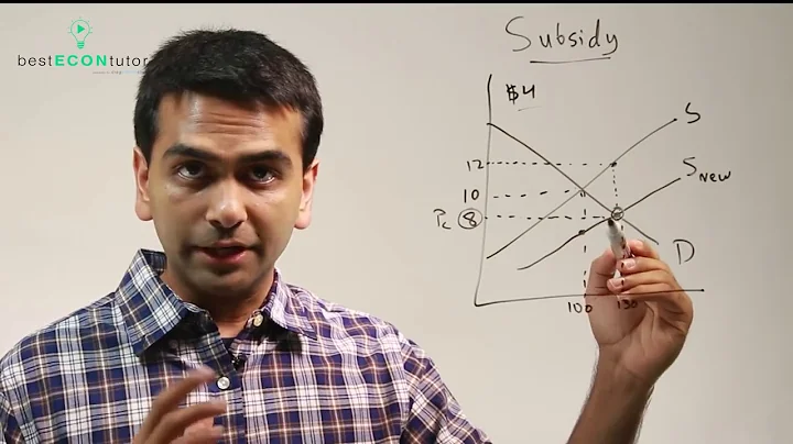 Microeconomics: Subsidy - DayDayNews