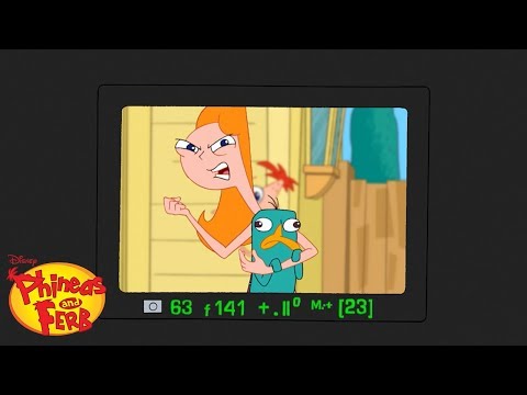 Perry and Candace Switch Bodies! | Phineas and Ferb | Disney XD