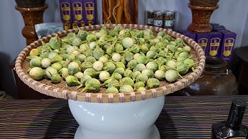 TRỜI BUÔN MÊ MƯA NHƯ THÁC ĐỔ VẪN TRANH THỦ HÁI CÀ ĐẮNG GỬI VỀ HỒ CHÍ MINH