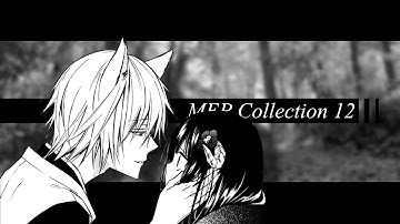 MEP Collection 12
