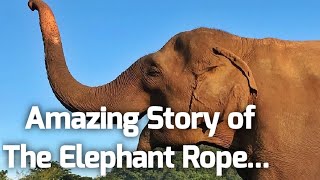 The Elephant Rope, a story of belief...