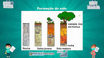 Como é formado o solo do planeta Terra?
