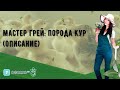 Мастер Грей: порода кур (описание)