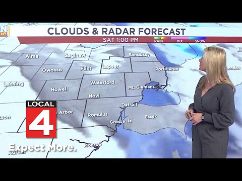Metro Detroit weather