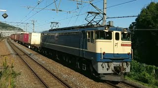 JR京都線 島本 EF65コンテナ列車・223系新快速