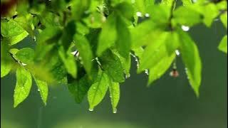 Dongeng Sunda Mang Jaya Dengan Suasana Hujan || Nyimas Komala Marakayangan Bagian 1