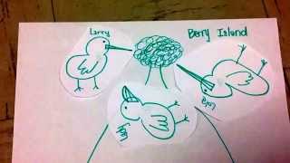 Darwin's Finches: Natural Selection