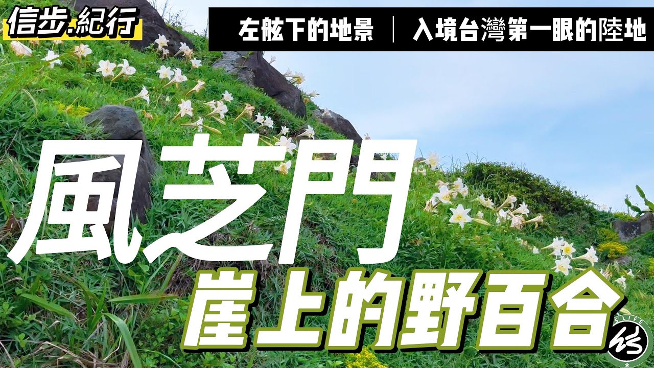 百合盛開。海岸線的絕美秘境步道 | 風芝門自行車道.麟山鼻地質景觀步道