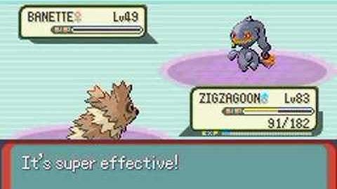 Zigzagoon Only Run: Elite Four Phoebe