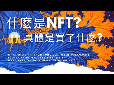 NFT具體到底是什麼東西 What Is An NFT 