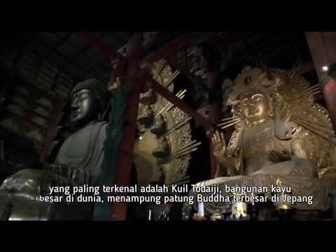 serunya-wisata-sejarah-sambil-menikmati-alam-kota-nara-jepang-|-wisata-halal-cheria-holiday