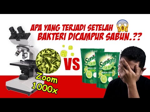 Video: Apakah cairan pencuci piring itu asam atau basa?