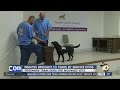 Inmates at local prison brought to tears by service dogs