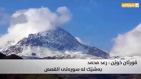 تلاوة خاشعة 📌لما تيسر من سورة القصص🎧 بصوت القارئ 〽رعد محمد🌲 الوصف👇