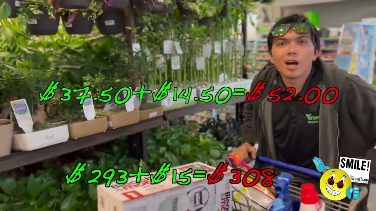 How Much Does D.I.Y. Cost?! YouTube