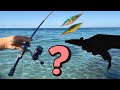 Micro Jigging Perth! What Do I Catch?