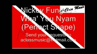 Nikey Fungus - Wha’ You Nyam So (Perfect Shape) (Hip-Hop Mix) (1992)