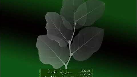 آيات الشفاء والسكينة والطمأنينة للشيخ خالد الحبشي