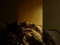 Fireplace Ambience for Study 🌙🔥 • Settle into clean attention | meditation + focus
