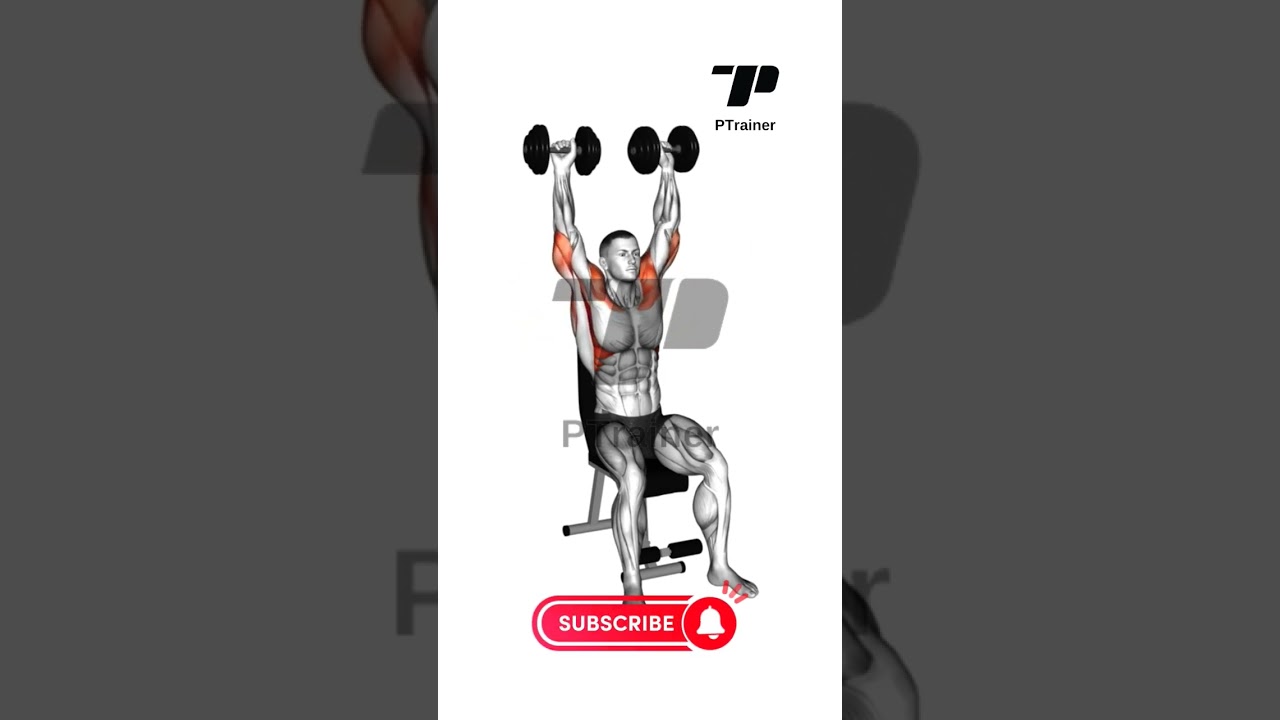 DUMBBELL SEATED SHOULDER PRESS Shoulder Exercises fitness dumbbell-seated-shoulder-press-shoulder-exercises-fitness