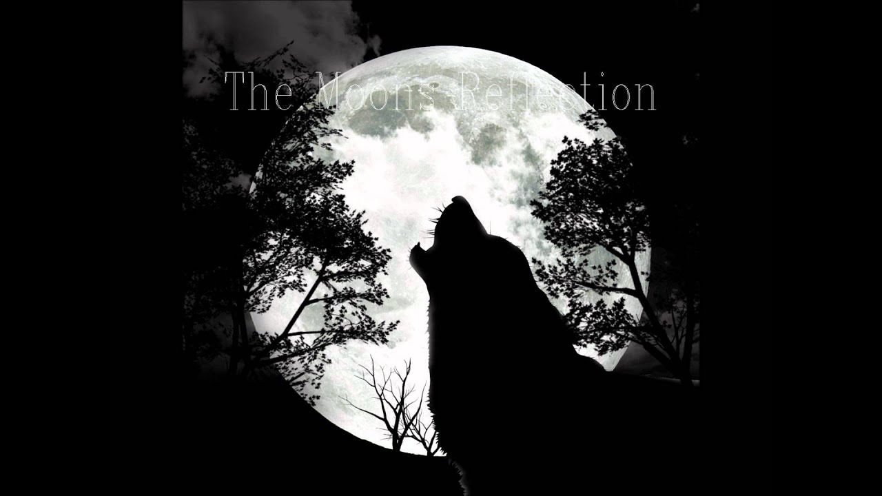 The Moons Reflection auf YouTube ansehen The Moons Reflection auf YouTube ansehen