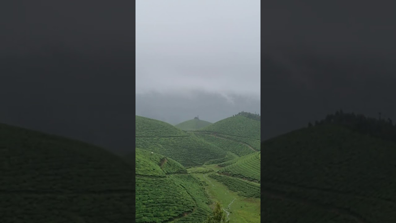 வாழ்கை பயணம்