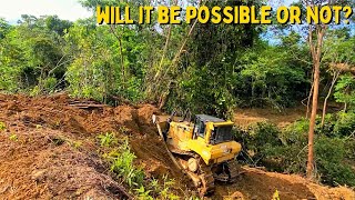 The Most Suitable Dozer Works in The Jungle  CAT D7R Reshaping Plantation