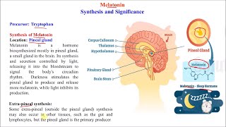 (55) Significance of Serotonin (Happiness Hormone) and Melatonin (Sleep Hormone) | Biochemistry