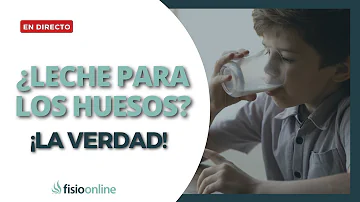 ¿Qué leche es buena para la osteoporosis?