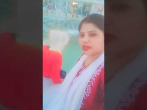 najar Mai tu jigar mai tu #tarotreading #viralshorts #viralvideo #viralshorts
