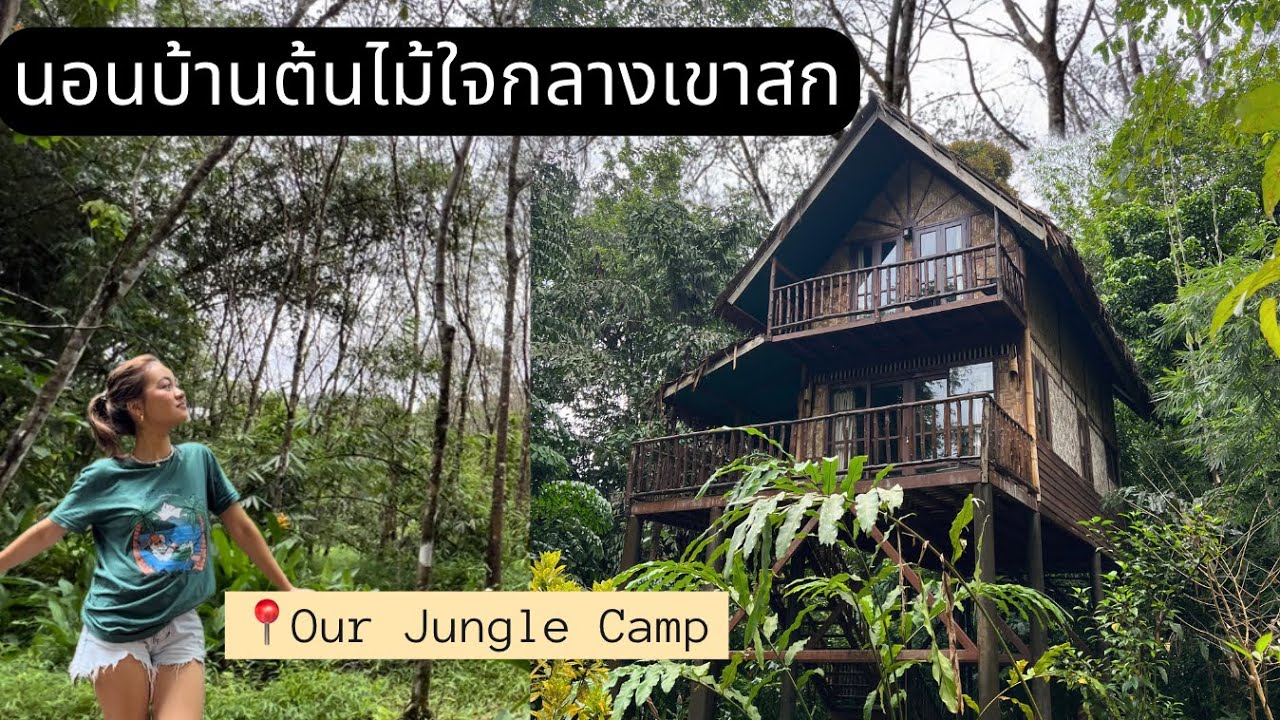 นอนบ้านต้นไม้ใจกลางเขาสก | Our jungle camp🌳 Khao sok, Thailand