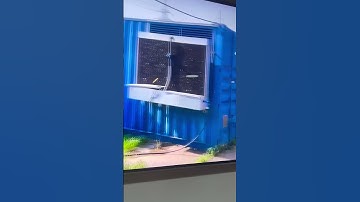 Conoce nuestras granjas de minería #bitcoin #mining #bitcoin #crypto #miningrace #latinoamerica