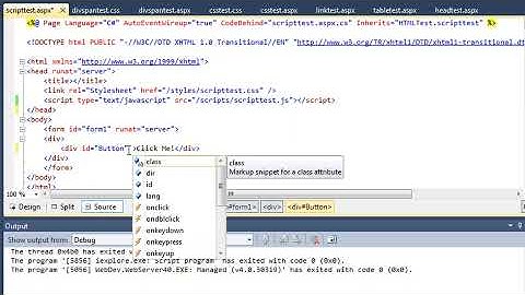 ASP.NET 4.0 Essential Skills Lesson 2-11: Work with JavaScript