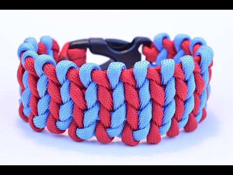 Two Tone Monkey Video
