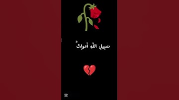 قران كريم ايات تريح القلب بصوت القارئ اسلام صبحي #الضياء 8