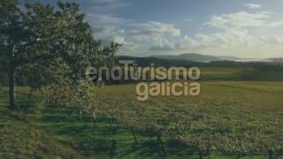 Enoturismo en Galicia