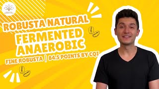 Robusta Natural Fermented Anaerobic | Fine Robusta | 84.5 Points by CQI