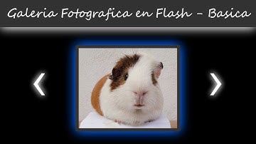 Galeria de fotos en Flash AS3 - Basica HD