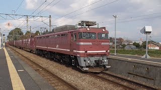 EF81-717号機+コキ100系貨車(20両) 8085レ 鳥栖貨物ターミナル行 弥生が丘駅通過