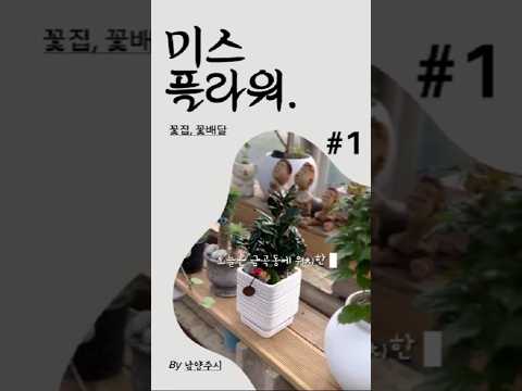 금곡동 숨은 꽃집 미스플라워 직접 가봤어요!