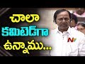 Govt committed to fill 1.12 lakh job vacancies: KCR