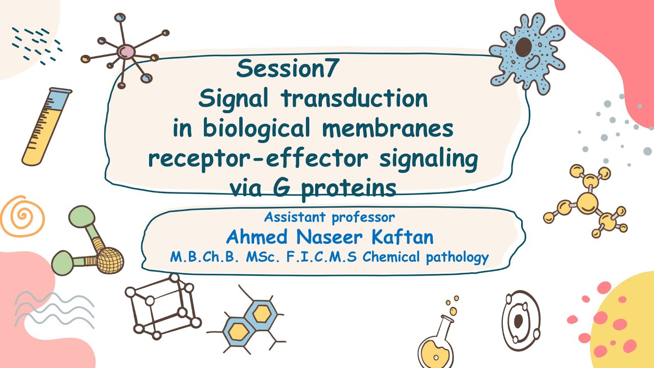 MR session 7 L1&2 signal transduction YouTube