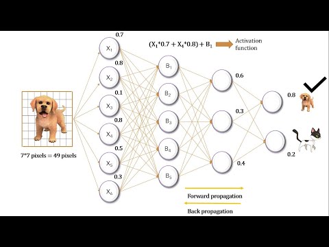 Neural Network In 5 Minutes | What is a Neural Network? | How Neural Networks Work | NerdML