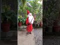 പിന്നല്ലാതെ