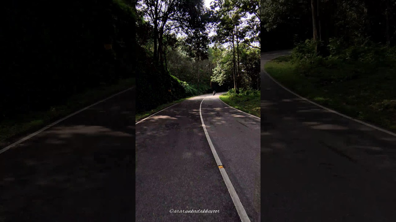 Timelapse journey through Thenmala forest area, KERALA