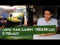 Como funcionam os terrários eternos (fechados)? E como está o terrário 4 meses depois.