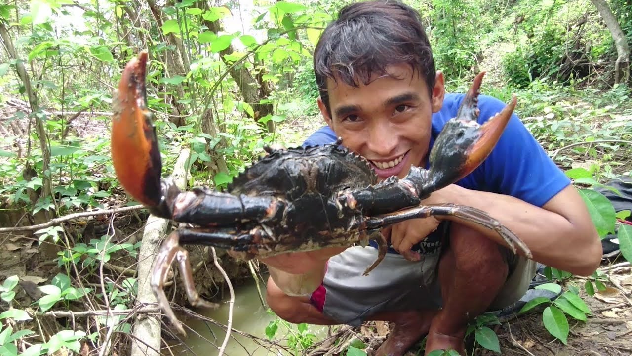 Menangkap Kepiting (Catch The Crabs) - Youtube